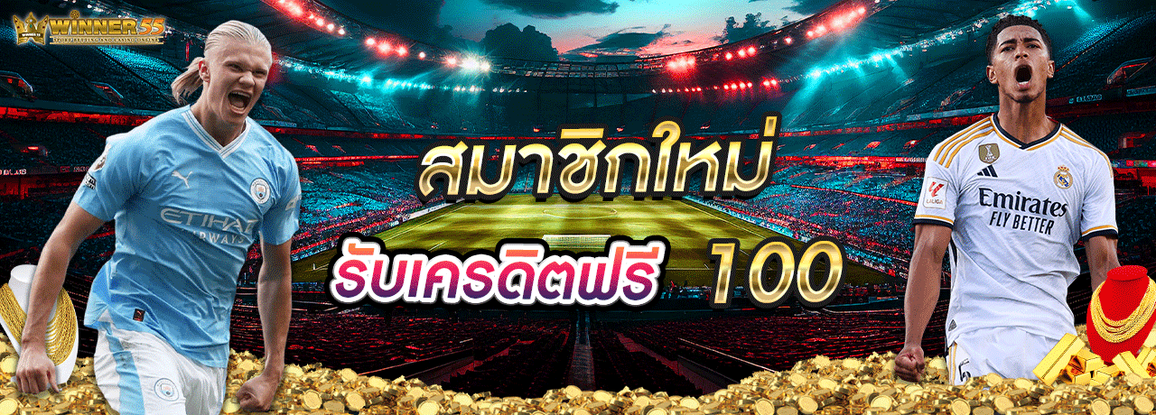 ทางเข้าwinner55 6